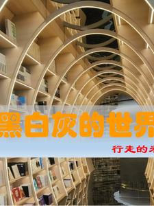 黑白灰的鱼要怎么画