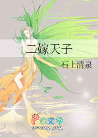 二嫁太子楚宁苏映枫免费阅读