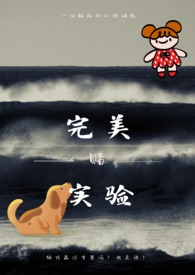 完美实名认证网站进不去